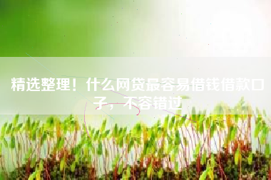 精选整理！什么网贷最容易借钱借款口子，不容错过