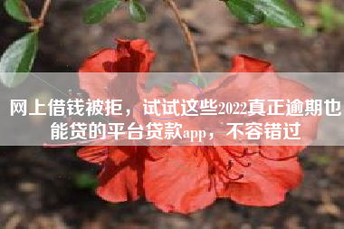 网上借钱被拒，试试这些2022真正逾期也能贷的平台贷款app，不容错过