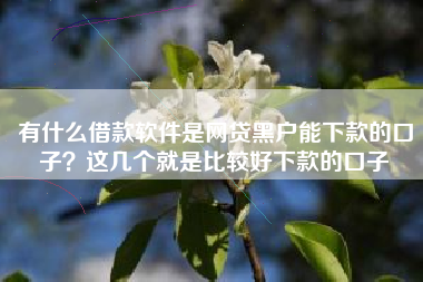 有什么借款软件是网贷黑户能下款的口子？这几个就是比较好下款的口子
