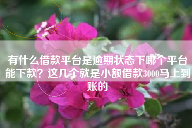 有什么借款平台是逾期状态下哪个平台能下款？这几个就是小额借款3000马上到账的