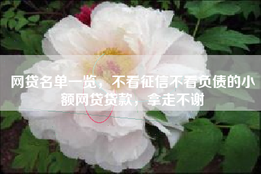 网贷名单一览，不看征信不看负债的小额网贷贷款，拿走不谢