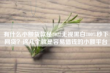 有什么小额贷款是2022无视黑白100%秒下网贷？这几个就是容易借钱的小额平台
