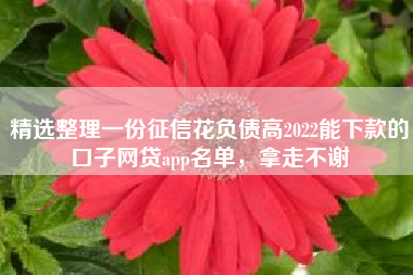 精选整理一份征信花负债高2022能下款的口子网贷app名单，拿走不谢