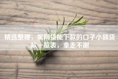 精选整理，黑网贷能下款的口子小额贷款一览表，拿走不谢