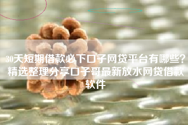 30天短期借款必下口子网贷平台有哪些？精选整理分享口子哥最新放水网贷借款软件