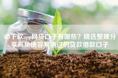 必下款app网贷口子有哪些？精选整理分享高负债容易通过的贷款借款口子