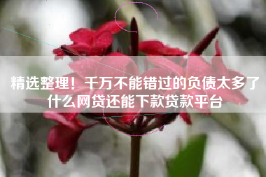 精选整理！千万不能错过的负债太多了什么网贷还能下款贷款平台