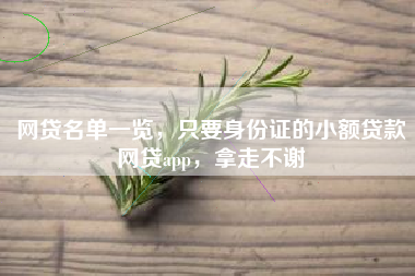 网贷名单一览，只要身份证的小额贷款网贷app，拿走不谢