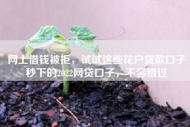 网上借钱被拒，试试这些花户贷款口子秒下的2022网贷口子，不容错过