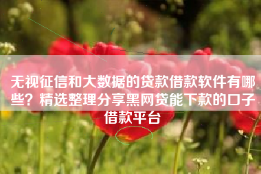 无视征信和大数据的贷款借款软件有哪些？精选整理分享黑网贷能下款的口子借款平台