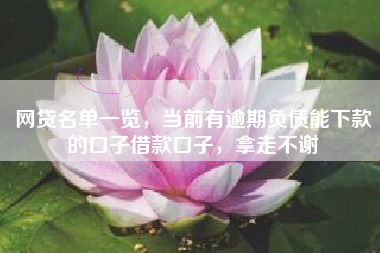 网贷名单一览，当前有逾期负债能下款的口子借款口子，拿走不谢