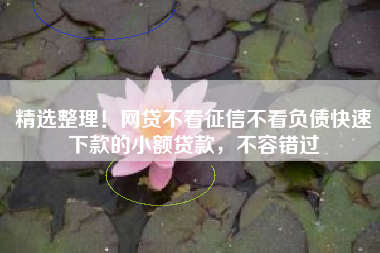 精选整理！网贷不看征信不看负债快速下款的小额贷款，不容错过
