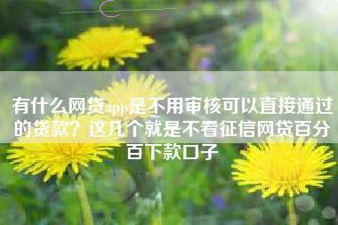 有什么网贷app是不用审核可以直接通过的贷款？这几个就是不看征信网贷百分百下款口子