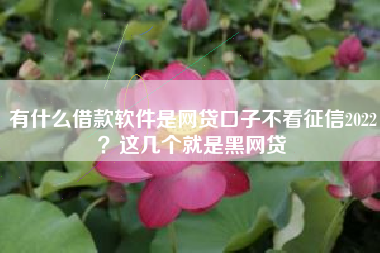 有什么借款软件是网贷口子不看征信2022？这几个就是黑网贷