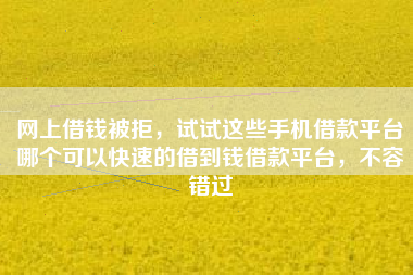 网上借钱被拒，试试这些手机借款平台哪个可以快速的借到钱借款平台，不容错过