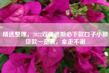 精选整理，2022双黑逾期必下款口子小额贷款一览表，拿走不谢