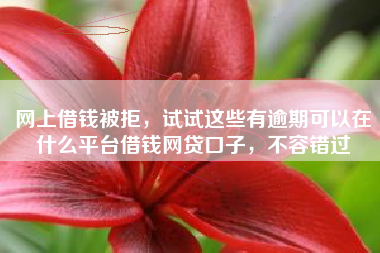 网上借钱被拒，试试这些有逾期可以在什么平台借钱网贷口子，不容错过