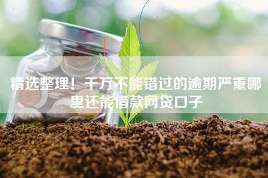 精选整理！千万不能错过的逾期严重哪里还能借款网贷口子
