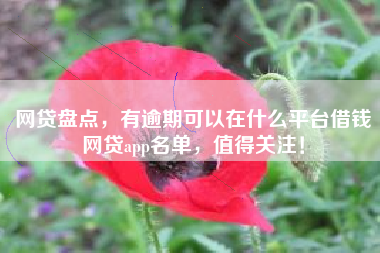 网贷盘点，有逾期可以在什么平台借钱网贷app名单，值得关注！