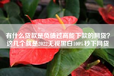 有什么贷款是负债过高能下款的网贷？这几个就是2022无视黑白100%秒下网贷