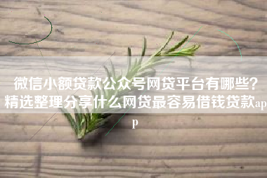 微信小额贷款公众号网贷平台有哪些？精选整理分享什么网贷最容易借钱贷款app