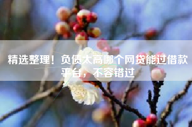 精选整理！负债太高哪个网贷能过借款平台，不容错过