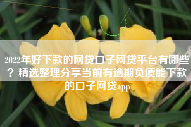2022年好下款的网贷口子网贷平台有哪些？精选整理分享当前有逾期负债能下款的口子网贷app