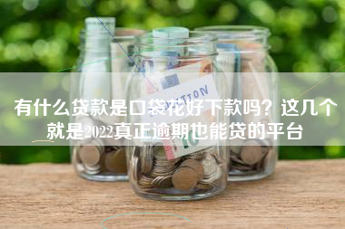 有什么贷款是口袋花好下款吗？这几个就是2022真正逾期也能贷的平台