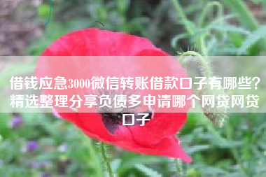 借钱应急3000微信转账借款口子有哪些？精选整理分享负债多申请哪个网贷网贷口子