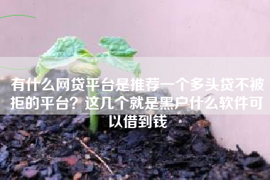 有什么网贷平台是推荐一个多头贷不被拒的平台？这几个就是黑户什么软件可以借到钱