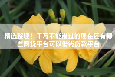 精选整理！千万不能错过的现在还有哪些网贷平台可以借钱贷款平台