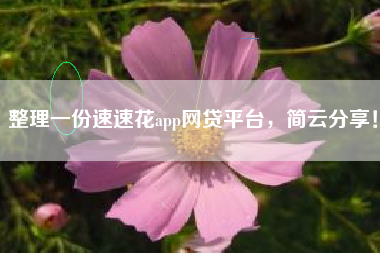 整理一份速速花app网贷平台，简云分享！