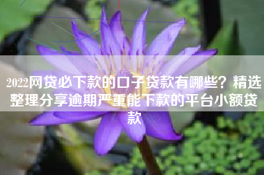 2022网贷必下款的口子贷款有哪些？精选整理分享逾期严重能下款的平台小额贷款