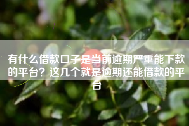 有什么借款口子是当前逾期严重能下款的平台？这几个就是逾期还能借款的平台