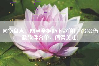 网贷盘点，网黑全拒能下款的口子2022借款软件名单，值得关注！