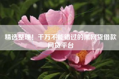 精选整理！千万不能错过的黑网贷借款网贷平台