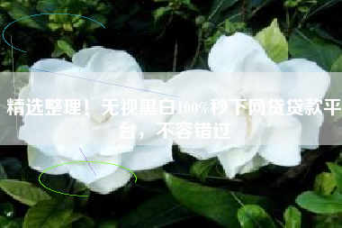 精选整理！无视黑白100%秒下网贷贷款平台，不容错过