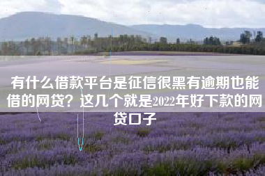 有什么借款平台是征信很黑有逾期也能借的网贷？这几个就是2022年好下款的网贷口子