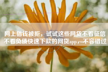 网上借钱被拒，试试这些网贷不看征信不看负债快速下款的网贷app，不容错过