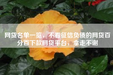 网贷名单一览，不看征信负债的网贷百分百下款网贷平台，拿走不谢
