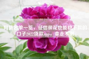 网贷名单一览，征信很花也能稳下款的口子2022贷款app，拿走不谢
