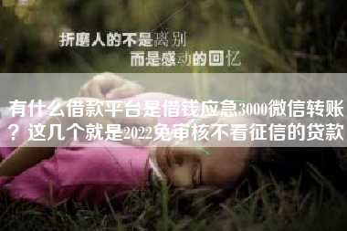有什么借款平台是借钱应急3000微信转账？这几个就是2022免审核不看征信的贷款