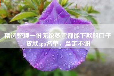 精选整理一份无论多黑都能下款的口子贷款app名单，拿走不谢