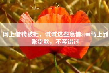 网上借钱被拒，试试这些急借5000马上到账贷款，不容错过