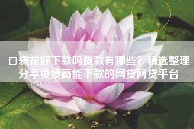 口袋花好下款吗贷款有哪些？精选整理分享负债高能下款的网贷网贷平台