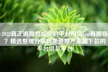 2022真正逾期也能贷的平台网贷app有哪些？精选整理分享网黑逾期严重能下款的平台借款平台