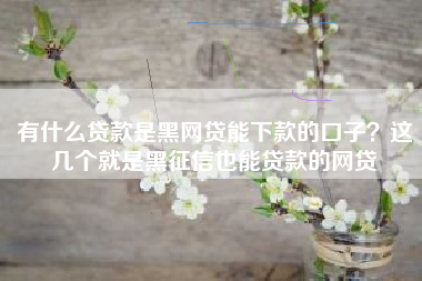 有什么贷款是黑网贷能下款的口子？这几个就是黑征信也能贷款的网贷