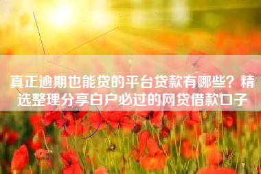真正逾期也能贷的平台贷款有哪些？精选整理分享白户必过的网贷借款口子