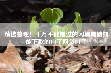 精选整理！千万不能错过的网黑有逾期能下款的口子网贷口子