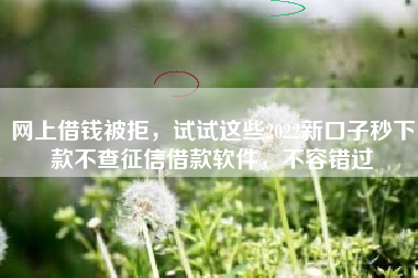 网上借钱被拒，试试这些2022新口子秒下款不查征信借款软件，不容错过